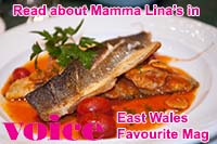 Read about Mamma Lina's in the Voice magazine